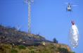 Incendio forestal en la pedan�a de Alumbres